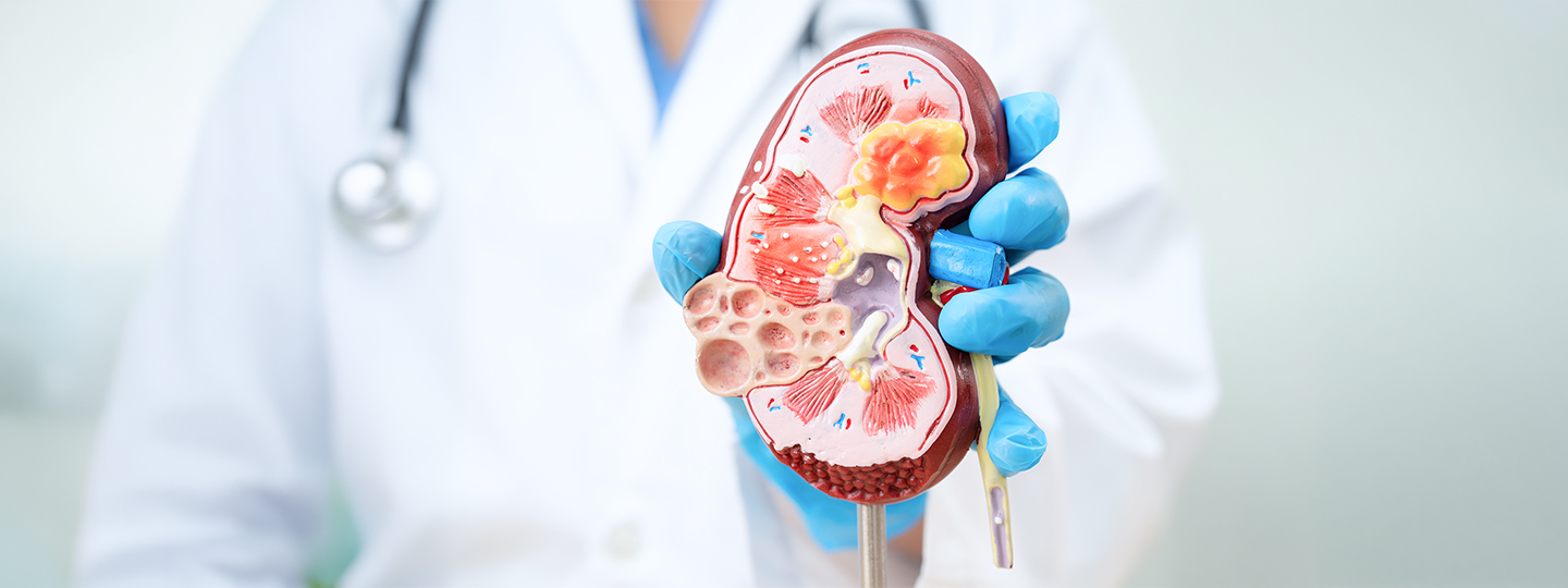 Nephrology