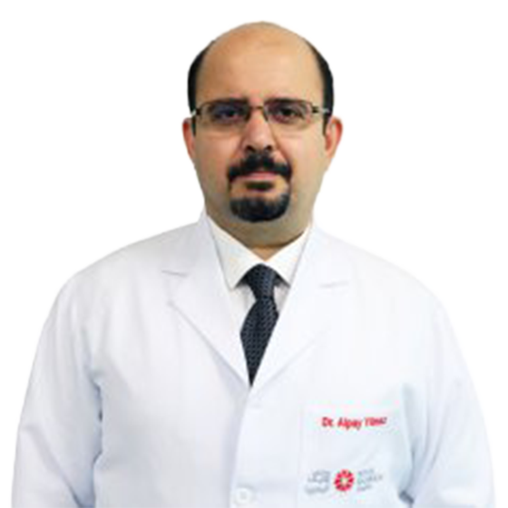 Dr. Alpay Yilmaz